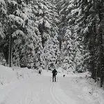 U Lipno * Frymburk