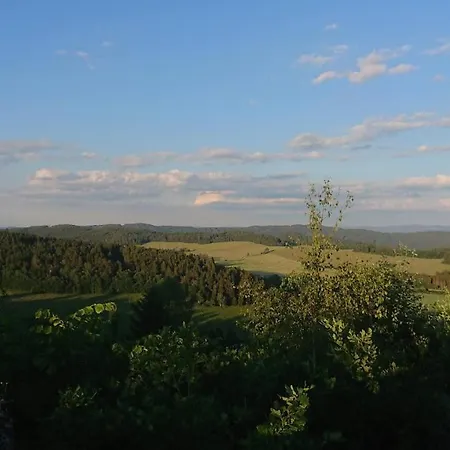 U Lipno Apartment Frymburk