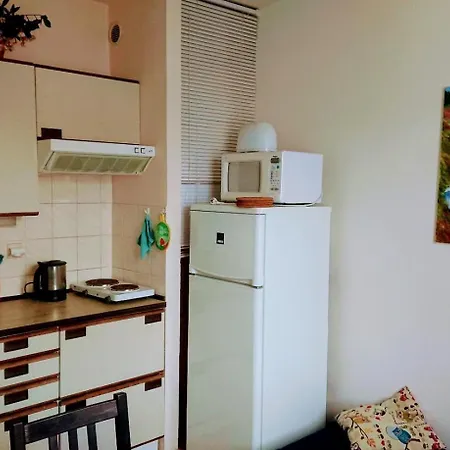 U Lipno Apartment Frymburk