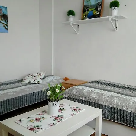 U Lipno Apartment