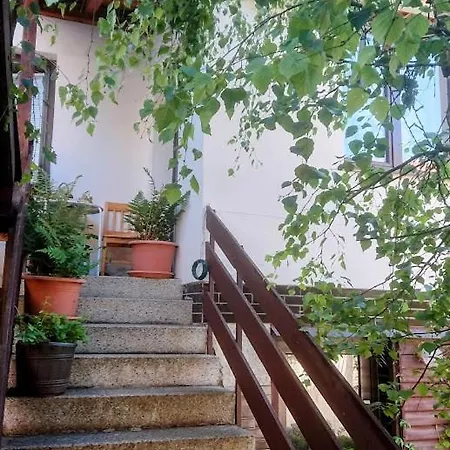 U Lipno Apartment Frymburk
