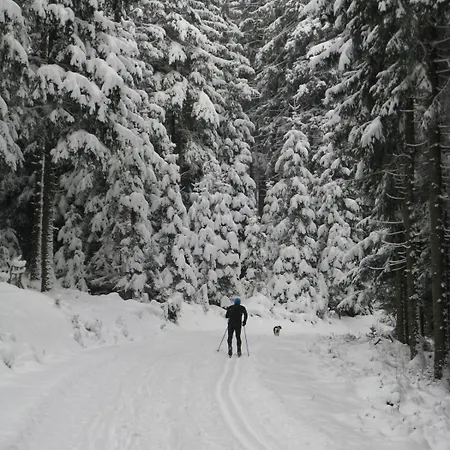 U Lipno * Frymburk