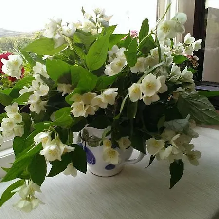 Apartment U Lipno