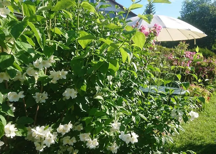 Lägenhet U Lipno Frymburk
