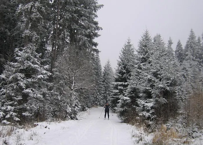 Lägenhet U Lipno *